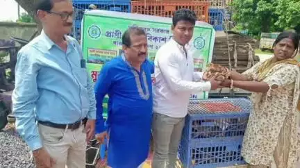 বারুইপুর: বারুইপুর BLDO অফিসে বিভিন্ন পঞ্চায়েতের কিছু মানুষদের হাতে মুরগির বাচ্চা তুলে দলেন জেলা পরিষদের কর্মাধ্যক্ষ জয়ন্ত ভদ্র
