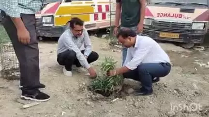 औरैया: दिबियापुर सामुदायिक स्वास्थ्य केंद्र में विश्व पर्यावरण दिवस पर अधीक्षक डॉक्टर विजय आनंद ने वृक्षारोपण किया