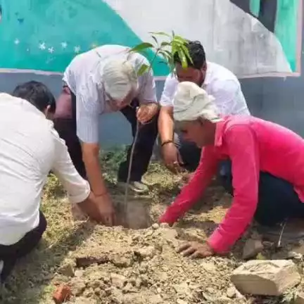 चुनार: कौड़ियां कला में विश्व पर्यावरण दिवस के अवसर पर किया गया पौध रोपण