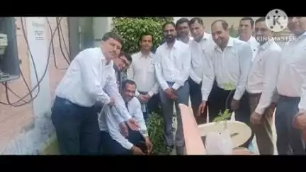 भिवानी: भिवानी में राज्यसभा सांसद किरण चौधरी का जन्मदिवस अलग-अलग स्थानों पर मनाया गया, कहीं लगे पेड़ तो कहीं कटा केक
