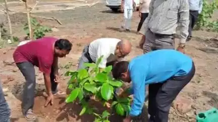 रायसेन: साँची बौद्ध-भारतीय ज्ञान अध्ययन विश्वविद्यालय में विश्व पर्यावरण दिवस पर पौधारोपण किया गया