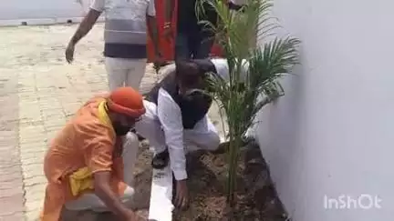 आरा: विश्व पर्यावरण दिवस के अवसर पर भाजपा नेता ने बीजेपी कार्यालय में लगाए फलदार वृक्ष