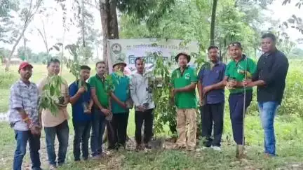 উত্তৰ লক্ষীমপুৰ: পদুমনিৰ দুলুং সংৰক্ষিত বনাঞ্চলত বিশ্ব পৰিৱেশ দিৱস উদযাপন, এছিয়াৰ বিখ্যাত চিয়া নাহৰ ৰোপণ দুলুং সোৱনশিৰি কনজাৰভেচন চছাইটিৰ