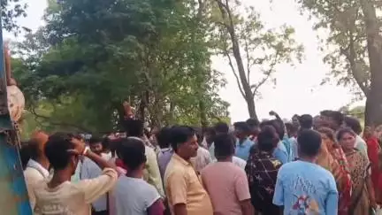 पीलीभीत: गांव शांति नगर निवासी महिला की बाघ के हमले में मौत, ग्रामीणों के विरोध के बाद शासन से मिली बाघ को पकड़ने की अनुमति