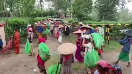 কৈলাশহর: কৈলাসহর কালীশাসন চা বাগানে গাড়ি চালককে হত্যা করার দায়ে দুজনকে গ্রেফতার করা হয়েছে জানালেন কৈলাসহর থানার ওসি