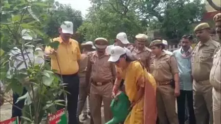 मथुरा: तहसील सदर में सांसद हेमा मालिनी ने किया वृक्षारोपण