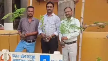 विश्व पर्यावरण दिवस पर नगर पंचायत डभरा में वृक्षारोपण किया गया, अध्यक्ष, उपाध्यक्ष एवं सीएमओ ने किया वृक्षारोपण