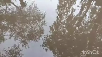 বাসন্তী: ঝড়খালিতে রাস্তার বেহাল দশা, যাতায়াতের সমস্যায় এলাকাবাসী ,  প্রতিক্রিয়া দিলেন বিধায়ক শ্যামল মন্ডল #jansamasya