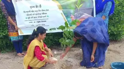 રાણાવાવ નગરપાલિકા દ્વારા વિશ્વ પર્યાવરણ દિવસની ઉજવણી, મહિલાઓના હસ્તે વૃક્ષારોપણ કરાયું