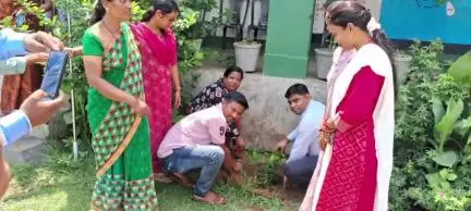 सतबरवा: विश्व पर्यावरण दिवस पर कन्या मध्य विद्यालय सतबरवा में हुआ वृक्षारोपण
