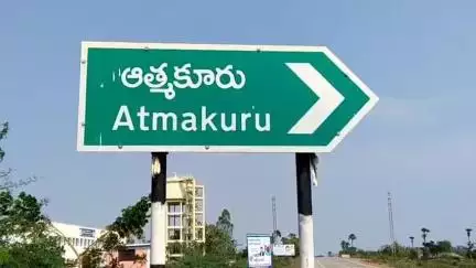 ఉదయగిరి: ఉదయగిరిలో వనమహోత్సవ కార్యక్రమం నిర్వహించిన అధికారులు