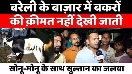 #Bareilly #BakraMandi: बरेली की बकरा मंडी और रात का ये नज़ारा | #Eid-ul-Adha | #UPNews