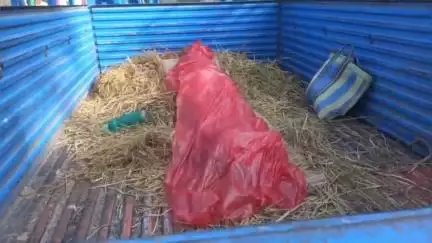 হবিবপুর: শিশুডাঙায় নদী পার হওয়ার সময় জলে ডুবে মৃত্যু যুবকের