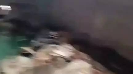 हुज़ूर: रीवा वार्ड नंबर 21 गांधी कांप्लेक्स 1 नंबर में गंदगी का आलम नगर निगम सफाई को लेकर नहीं ले रहे सुध #jansamasya