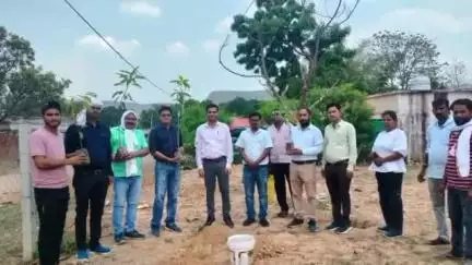 बहरी: जनपद पंचायत कुसमी कार्यालय में सीईओ द्वारा वृक्षारोपण, पौधे लगाए गए