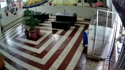 दमोह: जिला अस्पताल में युवक ने पहले मचाया उत्पात फिर की आत्महत्या, घटना का CCTV फुटेज आया सामने