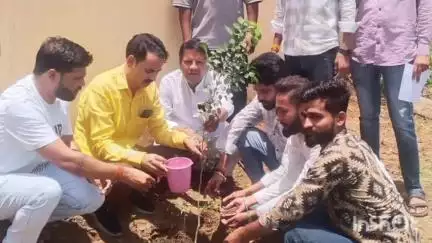 रायसेन: भाजपा जिलाध्यक्ष राकेश शर्मा ने कार्यालय में पौधे रोपकर पर्यावरण का संदेश दिया