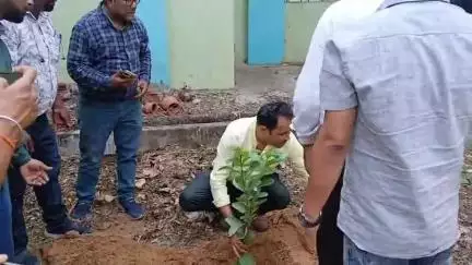 टुंडी: विश्व पर्यावरण दिवस पर प्रखंड कार्यालय टुंडी में BDO और CO द्वारा पौधारोपण