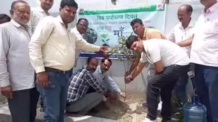 फुलवरिया: विश्व पर्यावरण दिवस पर सभी पंचायतों ने माँ के नाम पर लगाए पेड़, अधिकारियों ने की शुरुआत