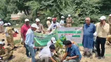 दरभंगा: विश्व पर्यावरण दिवस पर NCC 8 बटालियन में जागरूकता रैली, श्रमदान और पौधारोपण का आयोजन