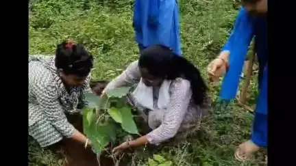পুরুলিয়া ২: চারাগাছ রোপনের মধ্য দিয়ে বিশ্ব পরিবেশ দিবস পালন করলো পুরুলিয়া ২ ব্লক স্বাস্থ্য দপ্তর, গাছ লাগালেন BMOH