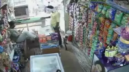 सेवढ़ा: सेवड़ा नगर में 2 महीने से लंगूरों का आतंक, दुकानों को नुकसान, कई लोग घायल, वन विभाग की लापरवाही