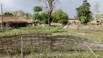 लालबर्रा: सोनेवानी कंजर्वेशन रिजर्व बनने पर तीन गांवों का होगा विस्थापन, विस्थापित परिवारों को सुविधा दी जाएगी: डीएफओ