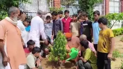 चरखी दादरी: गांव असावरी में विश्व पर्यावरण दिवस पर पौधारोपण अभियान, ग्रामीणों को पर्यावरण संरक्षण का संदेश
