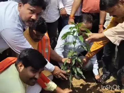 चतरा: विश्व पर्यावरण दिवस पर भाजपा पार्टी कार्यालय, चतरा परिसर में हुआ पौधारोपण