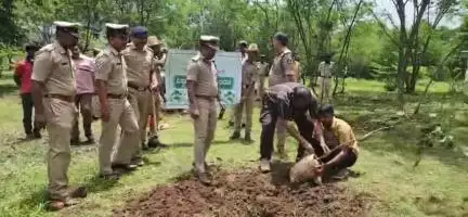 ಬೆಳಗಾವಿ: ಬೆಳಗಾವಿ ನಗರದಲ್ಲಿ ಐಜಿ ಮತ್ತು ಎಸ್ಪಿ ಅವರಿಂದ ಸಸಿ ನೆಡುವ ಮೂಲಕ ಪರಿಸರ ದಿನಾಚರಣೆ