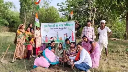 बालाघाट: ग्राम पंचायत कोहकाडीबर में विश्व पर्यावरण दिवस पर 'एक पेड़ माँ के नाम' कार्यक्रम आयोजित, जनप्रतिनिधि एवं पंच शामिल
