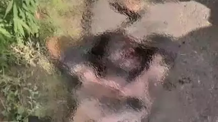 बहादुरगढ़: गांव कानौंदा के पास नाले में मिला व्यक्ति का शव, सिर और चेहरे पर चोट के निशान