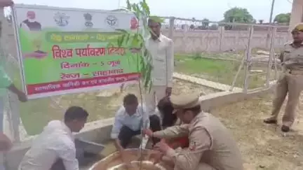 शाहबाद: विश्व पर्यावरण दिवस पर तहसील परिसर में एसडीएम ने किया वृक्षारोपण