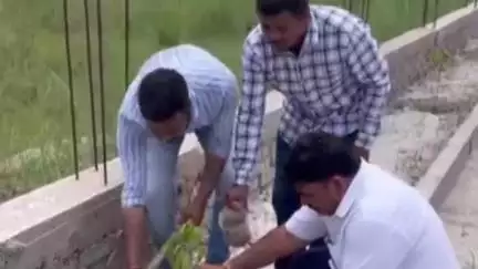 चनपटिया: पर्यावरण दिवस पर बेतिया सांसद समिति भाजपा कार्यकर्ताओं ने ज़िला कार्यालय में किया वृक्षारोपण