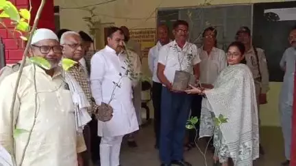 कौंच: कोंच तहसील परिसर में विश्व पर्यावरण दिवस पर एसडीएम ने पौधे रोपित कर अधिवक्ताओं और नागरिकों को वितरित किए