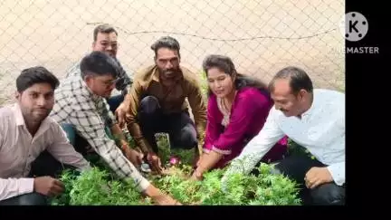 शाढ़ौरा: पर्यावरण दिवस पर शासकीय महाविद्यालय प्रांगण में गुलाब के पौधों का रोपण