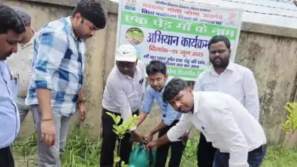 दिघलबैंक: मंगुरा सहित कई जगहों पर विश्व पर्यावरण दिवस पर 'एक पेड़ मां के नाम' अभियान के तहत पौधरोपण, BDO भी शामिल हुए