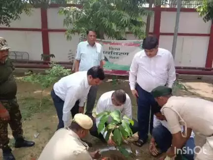 लखीसराय: विश्व पर्यावरण दिवस पर व्यवहार न्यायालय परिसर में वृक्षारोपण कार्यक्रम आयोजित