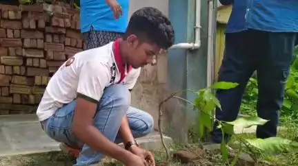 বারুইপুর: বিশ্ব পরিবেশ দিবস উপলক্ষে বারইপুর মোহনবাগান ক্লাব এর উদ্যোগে গাছের চারা রোপন করা হলো বারুইপুরে বিভিন্ন জায়গায়