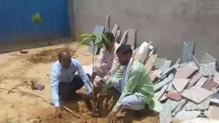 उतरौला: एस वी फाउंडेशन के द्वारा विश्व पर्यावरण के शुभ आरंभ पर किया गया वृक्षारोपण