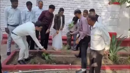 खंडवा नगर: खंडवा न्यायालय परिसर में विश्व पर्यावरण दिवस पर किया गया पौधारोपण