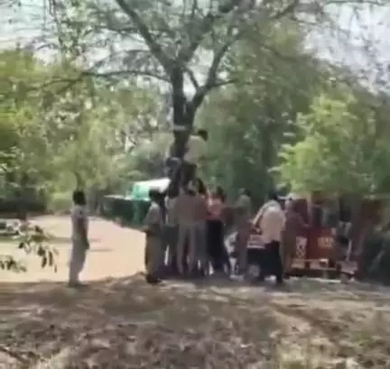 ललितपुर: पत्नी के मायके से नहीं आने पर युवक ने महिला थाने के सामने पेड़ पर चढ़कर फांसी लगाने की कोशिश, दमकल ने बचाया
