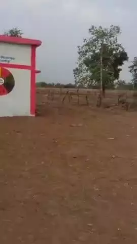 ग्राम पंचायत सकरी प में 5 जून को विश्व पर्यावरण दिवस के उपलक्ष पर नीम . रईजाम. पीपल. बरगद का पौधा स्कूल व पंचायत भवन प्र