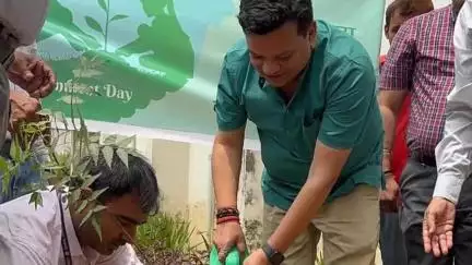 डेहरी: विश्व पर्यावरण दिवस पर गोपाल नारायण सिंह विश्वविद्यालय जमुहार में वृक्षारोपण किया गया