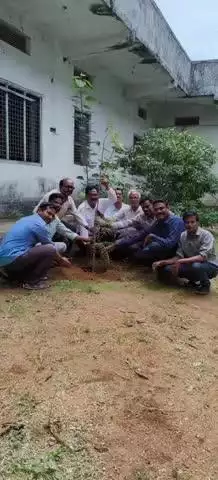 నిర్మల్: పర్యావరణ పరిరక్షణకు ప్రతి ఒక్కరూ మొక్కలు పెంచాలి:నిర్మల్ జిల్లా డీఈవో రామారావు