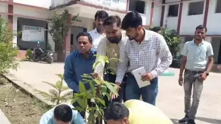डुमरा: सीतामढ़ी: श्रम संसाधन भवन में डीएम ने विश्व पर्यावरण दिवस पर किया पौधारोपण