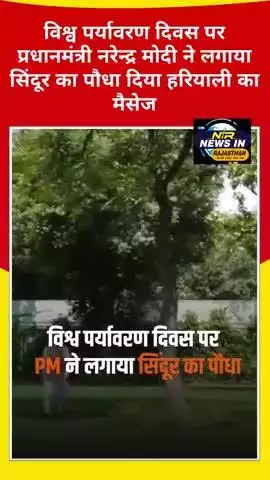 विश्व पर्यावरण दिवस पर प्रधानमंत्री नरेन्द्र मोदी ने लगाया सिंदूर का पौधा दिया हरियाली का संदेश #news #modi #pmmodi