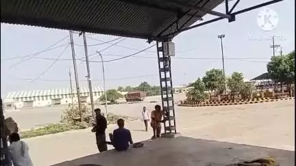 आगर: आगर कृषि उपज मंडी में 3544 बोरी गेहूं की आवक, भाव ₹2321 से ₹2757 प्रति क्विंटल रहा