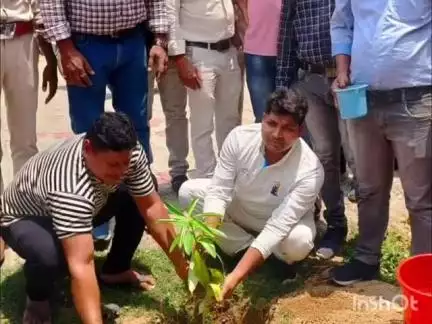 जयनगर: विश्व पर्यावरण दिवस पर बीडीओ ने किया पौधरोपण, विभिन्न संस्थानों को दिए एक हजार पौधे