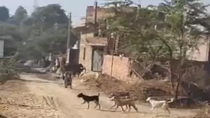 नूह: सटकपुरी गांव में मीट फैक्ट्री की गंदगी से ग्रामीण परेशान, नूह डीसी से मदद की गुहार